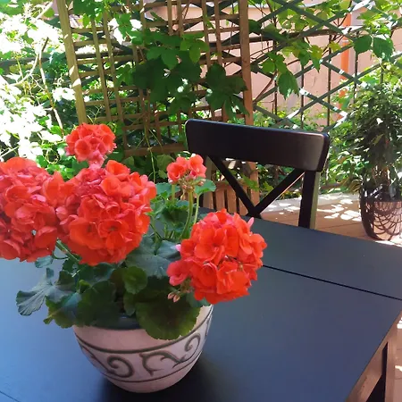 酒店 Italia 皮昂比诺